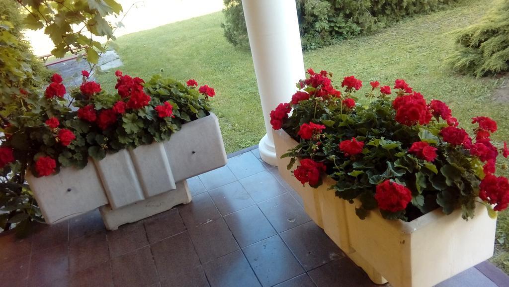 Julia Vendeghaz Διαμέρισμα Sárospatak Εξωτερικό φωτογραφία
